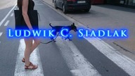 O dbaniu o PRZYJAŹŃ - Ludwik C. Siadlak VLOG 20170809