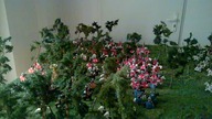 HistoryLand Wystawa Lego w Poznaniu 1410 Grunwald 1