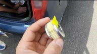 Wymiana filtra gazu w instalacji LPG BINGO-S. 4 - Fiat Punto 2