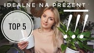 TOP 5 - ROŚLINY idealne na PREZENT