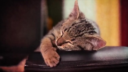 Uzdrawianie na odległość i gabinet. Choroby nieuleczalne rak nałogi każde wewnętrzne i emocjonalne