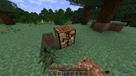 Minecraft Survival 1. 16. 1