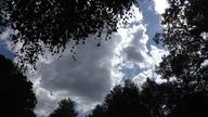 sky / niebo