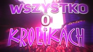 Minecraft - WSZYSTKO O KRÓLIKACH
