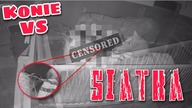 MOJE KONIE ZAWIESIŁY SIĘ NA SIATCE | nagrania z kamer