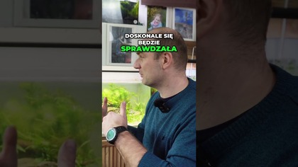 Przestań przepłacać za oświetlenie akwarium!  #aquarium
