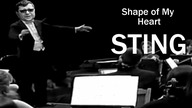Zbigniew Stonoga ft.  Sting - Shape of My Heart REMIX