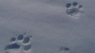 0940 Wrogi świat S01E01 Góry - [720p. WEB-DL. H264. EAC3. 5. 1-NitroTeam] [Napisy ENG-PL] [ENG-Lekto