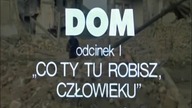1) Dom ...  pięknisty, mądry polski serial ...