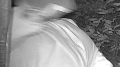 Fotopułapka w opuszczonej wsi Bromierzyk - niepublikowane nagranie!