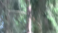 PARK MOŃKI I SZALONA RUDA