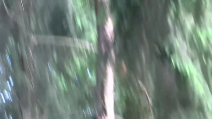 PARK MOŃKI I SZALONA RUDA