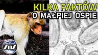 Co trzeba wiedzieć o małpiej ospie? #shorts