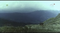Wi. echa.  (1968)