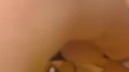 Pokè kalendarz plus kalendarz holy #16