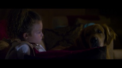 Po tamtej stronie drzwi / The Other Side of the Door (2016) [Lektor PL]