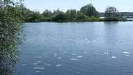 Jezioro Orle 