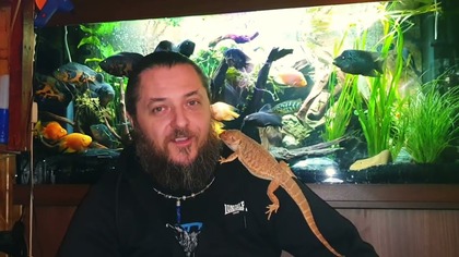 2334.  Ostatnie Przypomnienie!