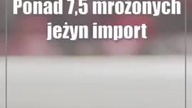 Jeżyny z larwami
