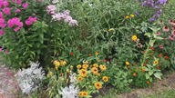 Ptaszyniec * Garden kuRaż * 26 lipiec 2022