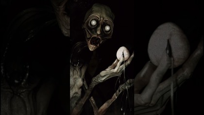 Wśród nas żyją pasożyty, których nie widać...  #straszne