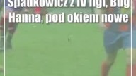 Bug Hanna spokojnie robi swoje