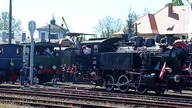 Parowozy! Stare Pociągi! Parowozownia Wolsztyn na Majówkę! Czekając na Paradę Parowozów 2026!