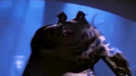 IT'S A TRAP - HARD STAR WARS REMIX