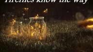 "Fireflies know the way" - Utw&oacute;r Oryginalny