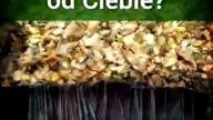 Co On chce usłyszeć teraz od Ciebie? #tarot #tarotczytanie