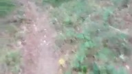Pierwszy 