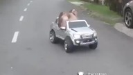 Sąsiad zobacz k.. czym się szlachta wozi