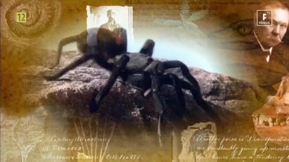 Prawdziwy Zaginiony Świat (2006) [Lektor PL]