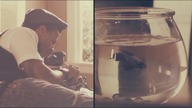 Auburn - Perfect Two