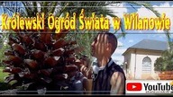 Odc-464. Cz. 5 Powrót z Powsina. Królewski Ogród Świata w Wilanowie.  Powrót do domu.