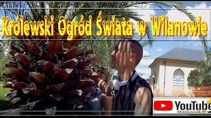Odc-464. Cz. 5 Powrót z Powsina. Królewski Ogród Świata w Wilanowie.  Powrót do domu.