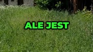 Odkryłem zapomnianą wieś w głębi lasu! #shorts