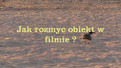 Jak rozmyć obiekt w filmie ? - Pinnacle Studio 23