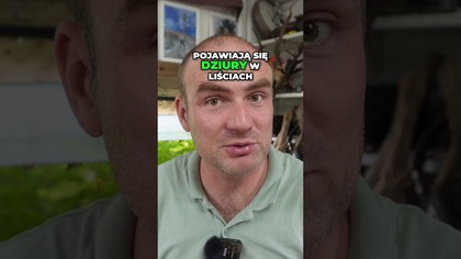 Kiedy nawozy Jak rozpoznać problemy roślin w akwarium!