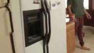 Kot Ninja