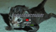Kapitan kremówka vs Arkusz z matematyki podstwowej