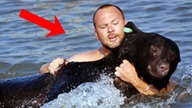 ZOBACZYŁ TONĄCEGO NIEDŹWIEDZIA, natychmiast RUSZYŁ NA RATUNEK!
