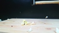 Science Experiment LIQUID NITROGEN vs COCA COLA