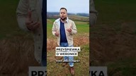 Pokaż to Weronice  #rompey #przyśpiewka