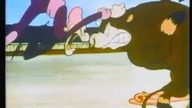 Zwariowane melodie: Nieśmiały toreador (1940)