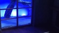 Shadow Box #shorts blue led