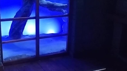 Shadow Box #shorts blue led