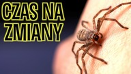 Nowe domy dla ferajny!
