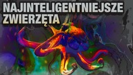 10 NAJINTELIGENTNIEJSZYCH ZWIERZAT