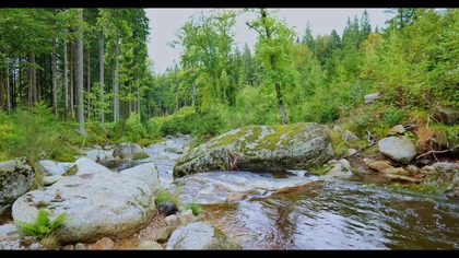 10 Hours of River Stream Sounds for Focus & Study | Natural Pink Noise Water